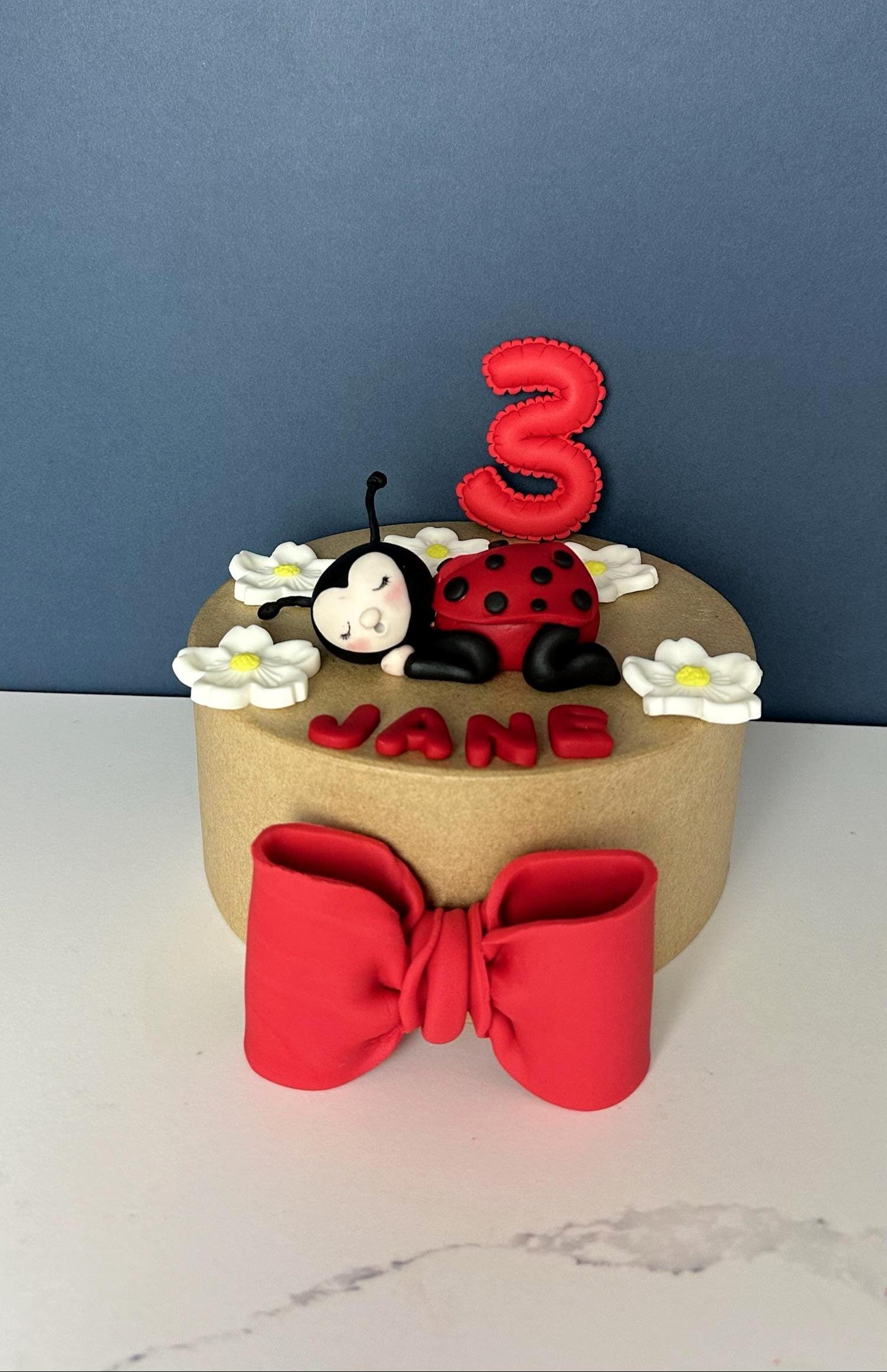 personalised ladybug Fondant Cake Topper - Custom Name and Number - Handmade Birthday Decoration.