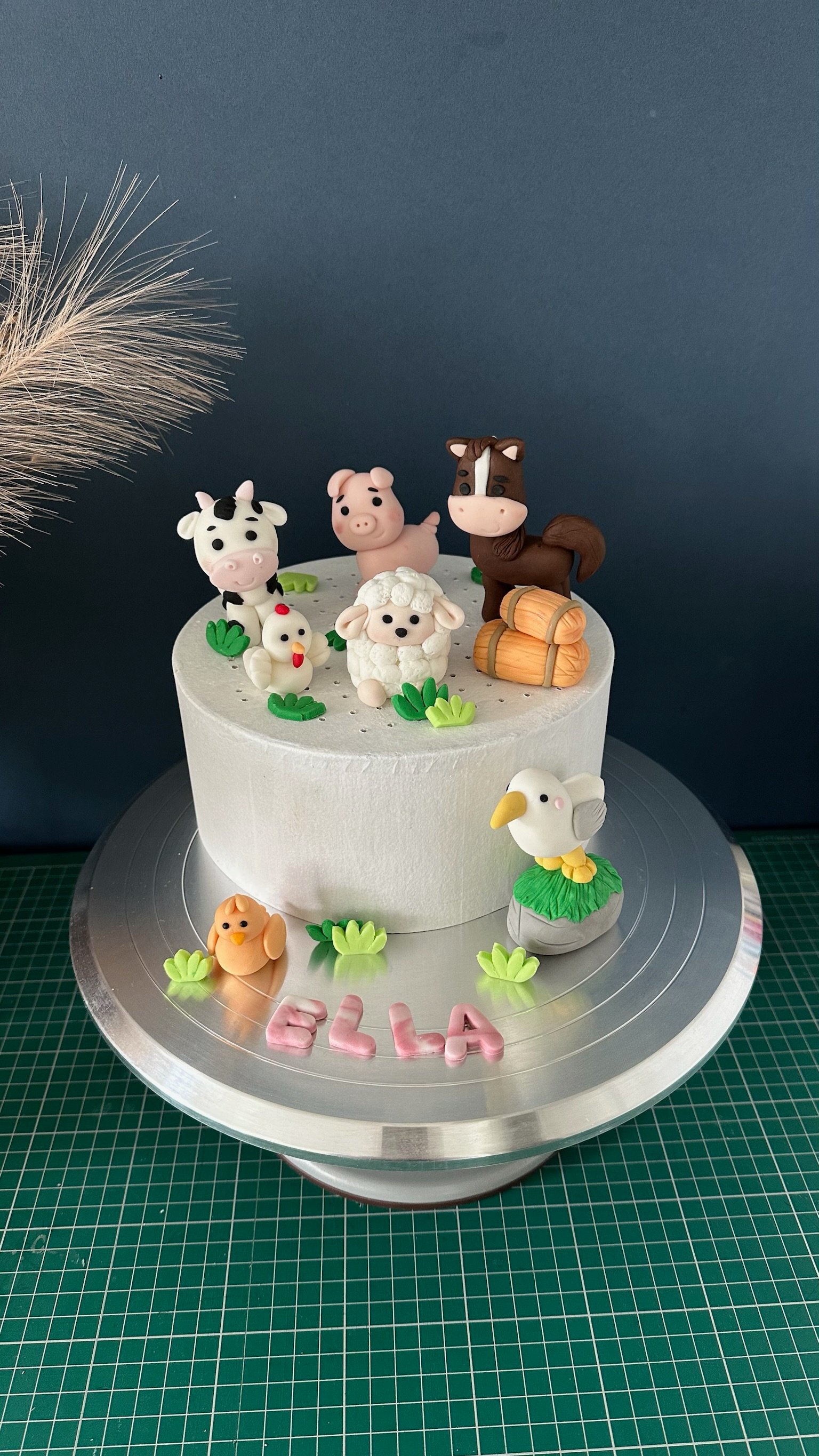 Handmade Farm Animals Fondant Cake Topper Set, Barnyard Birthday Decoration, Personalized Name